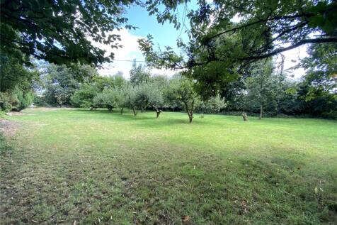 Orchard