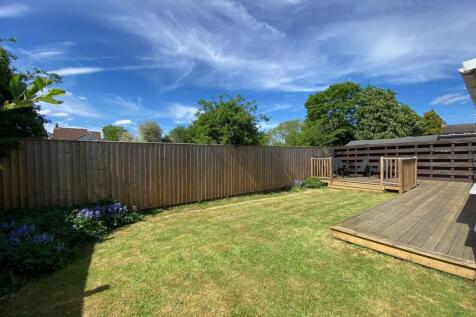 new garden 1.jpg