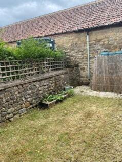 garden2.jpg