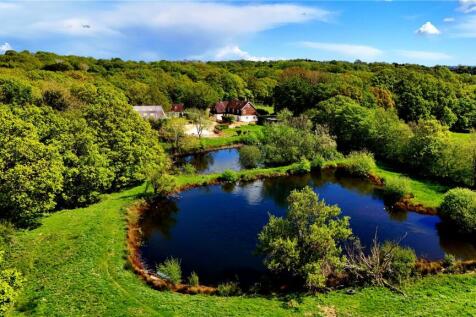 Field and Pond