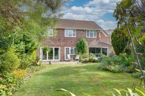 Property Image 49