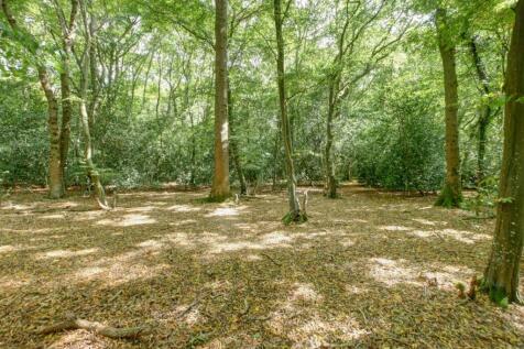 Property Image 39