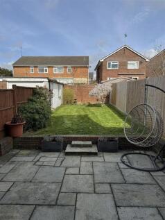Back Garden Blossom Tree.jpg