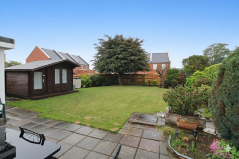 back garden.png