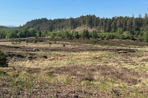 Lot1 -Image 1