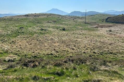 Lot1- Image 2