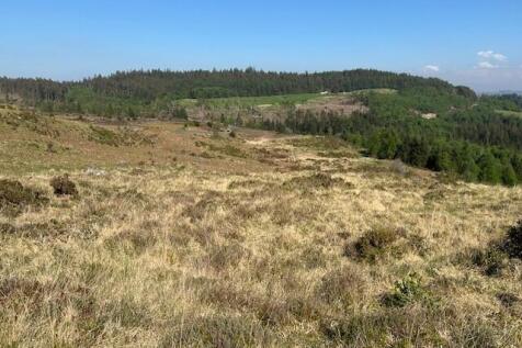 Lot1 -Image 4