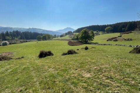 Lot 2 -Photo 2