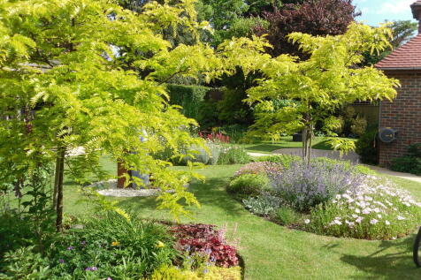 Garden in full bl...