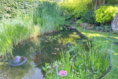 Garden in full bl...