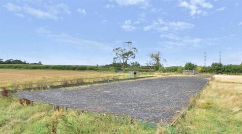 20m x 60m arena