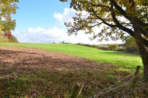 Field