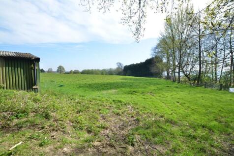 Pasture