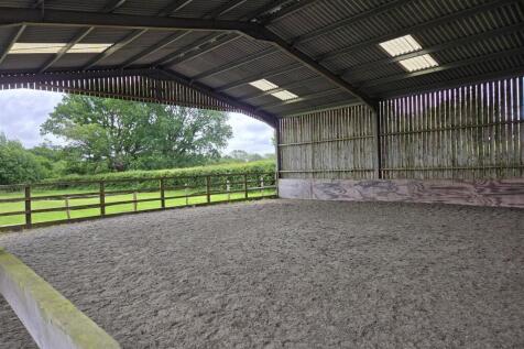 Lunging barn/area