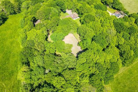 DJI_0921.jpg