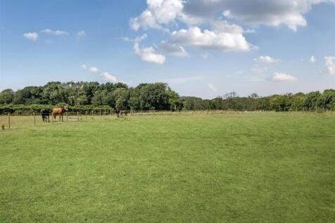Paddocks 2.jpg