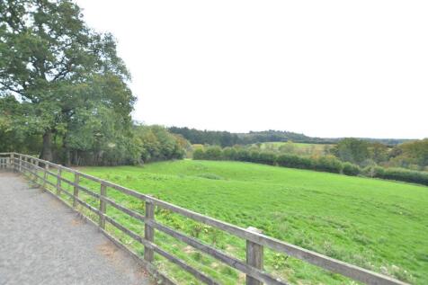 DSC_3186.JPG