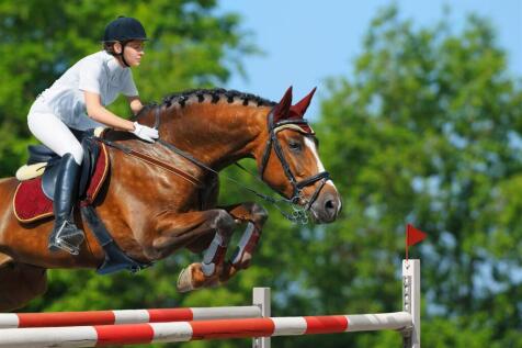 002 Equus new web site Ref 16 V2 landscape.jpg