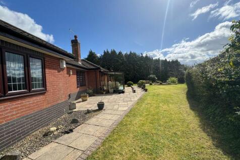 Garden along rear