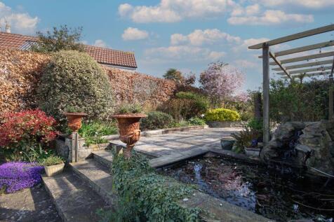 Pond and Patio