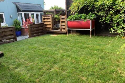 NEW rear lawn