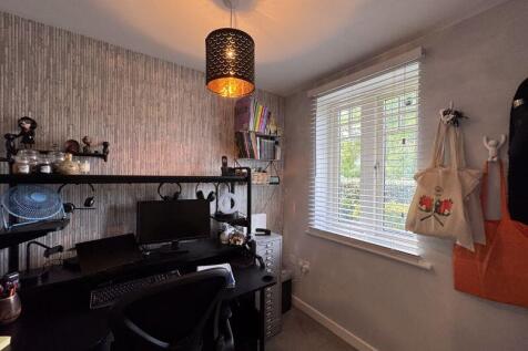Study/Snug