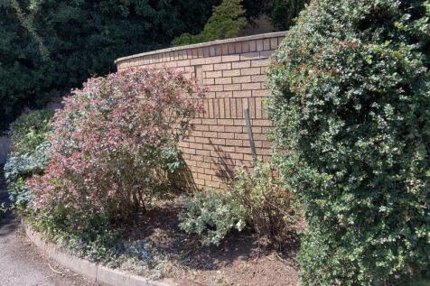Shrubs outside