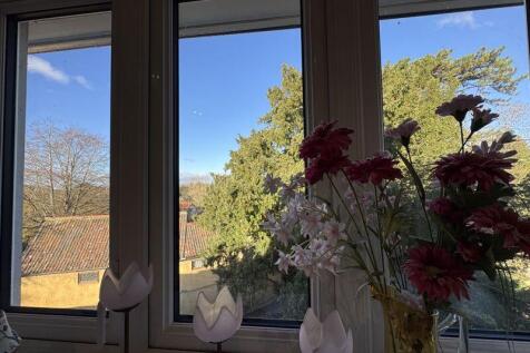 view from kitchen