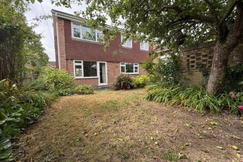 rear of house