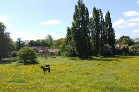 Property Image 44