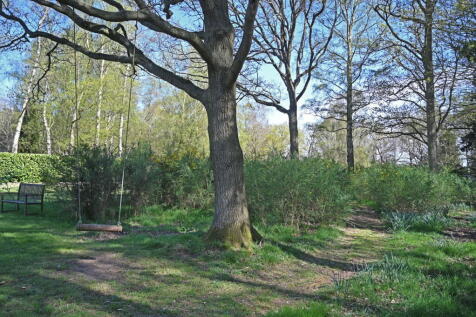 Property Image 37