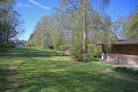 Property Image 38