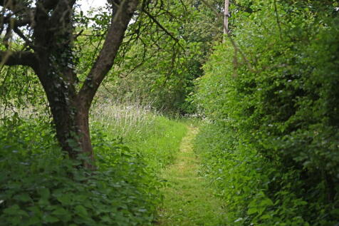 Property Image 18