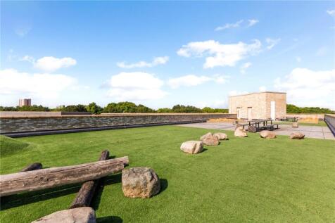 Roof Terrace