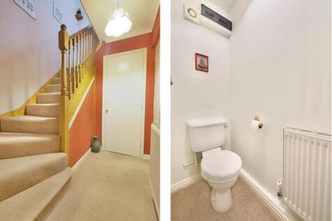 Untitled design (31).jpg