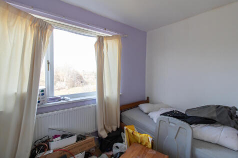 IMG 1133 T202503271223.jpg