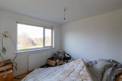 IMG 1130 T202503271223.jpg