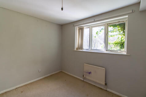 IMG 0119-HDR T202504080723.jpg