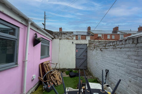 IMG 6500 T202504171242.jpg