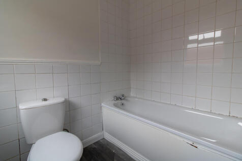 IMG 1484 T202504152000.jpg