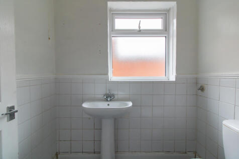 IMG 1486 T202504161218.jpg