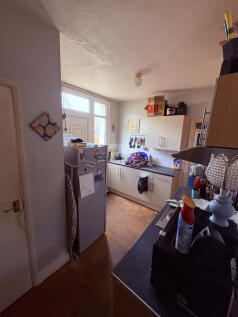 IMG 7717 T202504281404.jpg