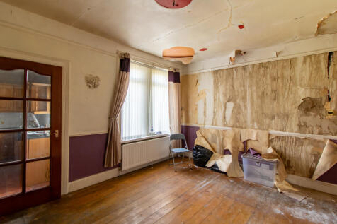 IMG 2693-HDR T202505010809.jpg