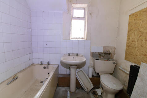 IMG 5259 T202505291241.jpg