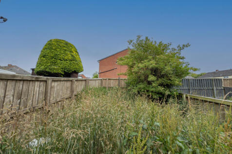 IMG 0656 T202507181434.jpg