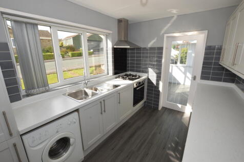 DSC 0012 T202510131056.jpg