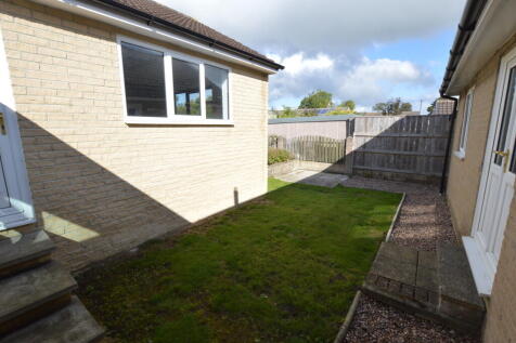 DSC 0021 T202510131056.jpg