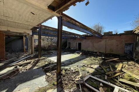 Taylor 3 T202510241320.jpeg