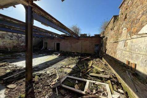 Taylor 4 T202510241320.jpeg