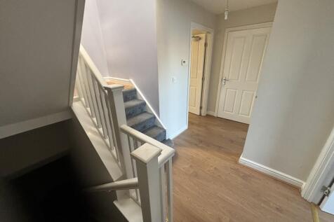 IMG 3055 T202510281151.jpeg